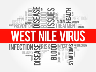 West Nile Virus word cloud collage, health concept background