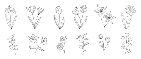 Set botanical hand drawn vector element. Collection of foliage, branch, floral, eucalyptus leaves, tulip in line art. Minimal style blossom illustration design for logo, wedding, invitation, decor. - 735843033