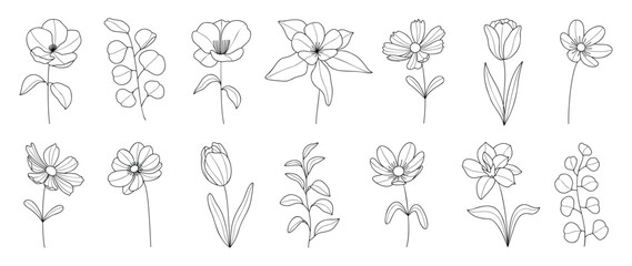 Set botanical hand drawn vector element. Collection of foliage, branch, floral, eucalyptus leaves, tulip in line art. Minimal style blossom illustration design for logo, wedding, invitation, decor.