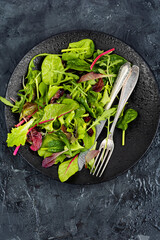Healthy salad, leaves mix salad.