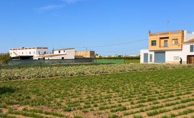 Farm field house. Farmhouse in Valencia, Alboraya, L’Horta. Spain farmland. Cultivation of crops in countryside. Sowing grain. Field cultivation. Soil Tillage, sowing seeds. Rural House at field.