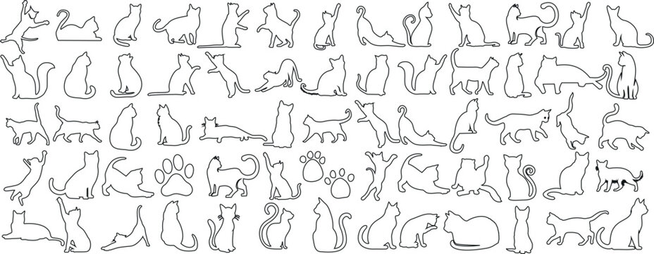 Minimalist cat outlines in various poses, perfect for pet lovers, art illustrations, and design projects. Elegant black outline on a stark white background