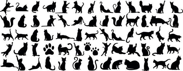 Cat silhouette - obrazy, fototapety, plakaty