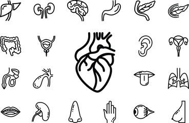 Human Anatomy Icon set, Heart, Kidney, liver, pancreas, spleen, nose, hand, brain, gallbladder, tongue, eye, vesica urinary, bladder, teeth