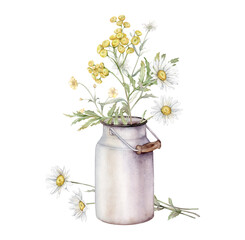 Watercolor Daisy and tansy with metal can for milk. Hand drawn illustration of Chamomile. bouquet of white blossom flowers on isolated background. Painted wildflowers and vintage white aluminum jar.