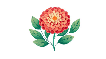 Zinnia and marigold flower vector isolated