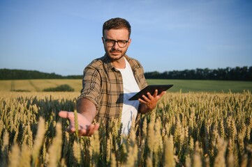 Portrait of farmer in wheat field