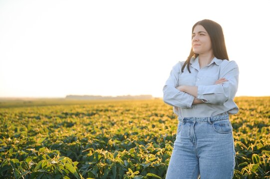 Caucasian female farm worker inspecting soy at field summer evening time.