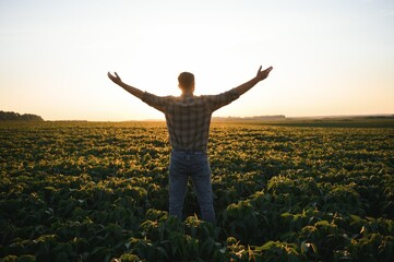 Happy agronomist or farmer raised his hands uphill in the field and rejoices at a good harvest.