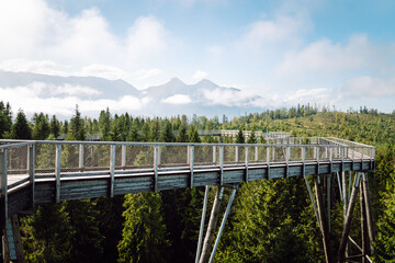 Obraz premium Wooden Stair through the Natural park. Adventure, travel, sport, active life. 