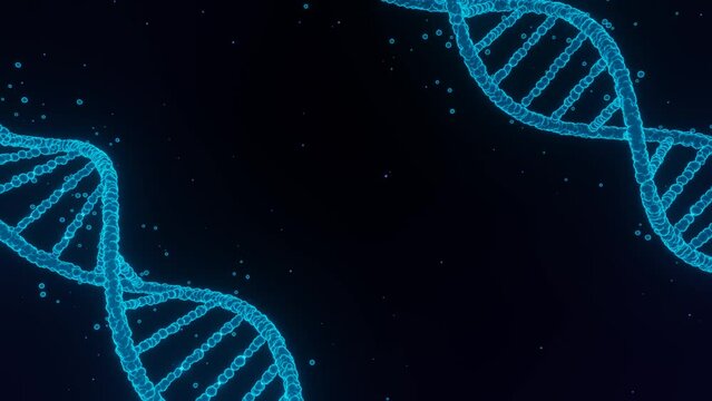 Abstract animated construction of a DNA molecule from particles. Concept animation of digital DNA, human genome. Medical research, genetic engineering, biology. Futuristic 4k loop animation of DNA.