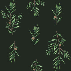 Fototapeta premium spruce branches pattern