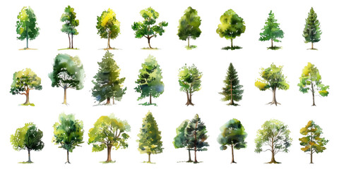 Set of watercolor trees on a white background - obrazy, fototapety, plakaty