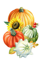 Autumn composition with sunflower flowers leaves and pumpkin, drawing illustration, Watercolor painting cute postcard