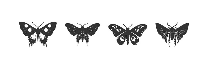 Butterfly icon set. Vector illustration design.