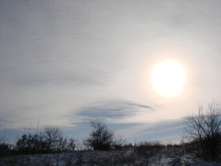 A panorama of the winter sun in a yellow-hot halo through the prism of a cloud cover above the treetops of the steppe forest strip.