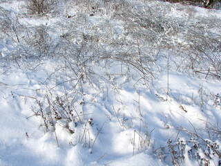 A view from above of the withered steppe vegetation barely emerging from the fresh snow drifts under the rays of the frosty sun.