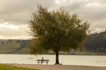femme assise seule sur un banc au bord d'un lac en automne