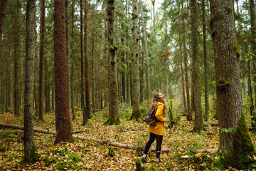 Pretty woman carrying a backpack in the forest  in the autumn season. Traveler enjoying nature....