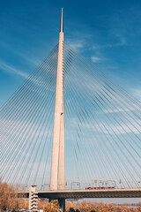 Obraz premium suspension wires reaching high into the sky, the metal bridge in Belgrade, Serbia, stands tall as a symbol of transportation ingenuity