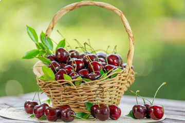 Red Cherry fruit in wooden basket on wooden table in garden, Red Cherry on blurred greenery background.