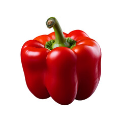 Vector red paprika, fresh color sweet pepper isolated on white background