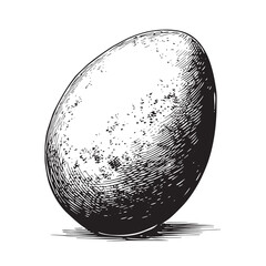Eggs. Hand drawn engraving style vector illustrations.