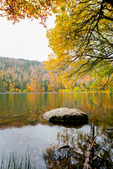 Landscape in autumn at Feldberg in the Black Forest. Feldbergsteig hiking trail. Nature at Feldsee...