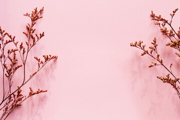 Branches of dried red limonium flowers on a delicate pastel pink background, top view. Minimal flat...