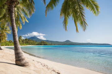 Serene beach view with palm trees and distant island. The concept of recreation and tourism.