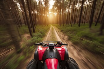 perspectival shot of an atv speeding down a forest path