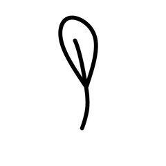 Cute single hand drawn herbal elements. Doodle vector illustration for wedding design, logo and greeting card. Traditional hand drawn spring flowers in ink style.