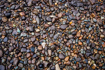 Abstract river colorful pebble stones background. ?attern of wet rocks gracefully arranged. Each stone glistens in the gentle water, creating an intricate mosaic of earthy colors and textures