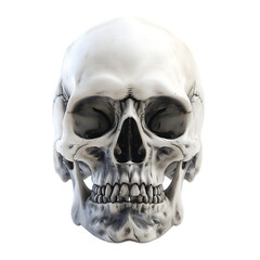Obraz premium skull isolated on a white or transparent background