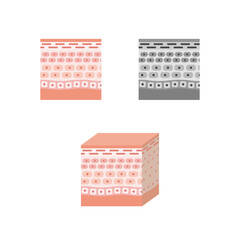 すっきりシンプルな肌構造の図解イラストセット