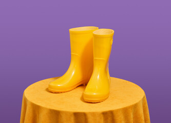 Yellow rubber boots and working in the garden. A fashionable image of a gardener.