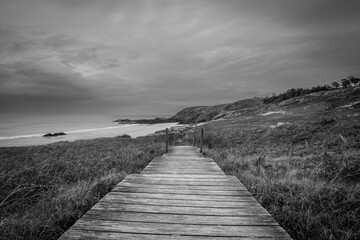 boardwalk in the dunes