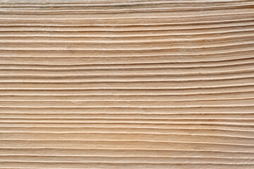 Wood texture. Natural background. Selective focus