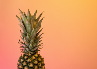 Ripe pineapple with thick green leaves. Copy space for text.