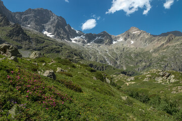 Obraz premium Paysage du Valgaudemar en été , sur le sentier du Lac du Lauzon ,vue sur Les Rouies , Hautes -Alpes , France