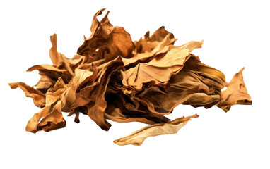 A Pile of Dried Leaves. A collection of dried leaves neatly arranged in a pile on a plain Transparent background.