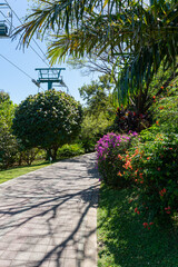 Beautiful flowery garden on a sunny day