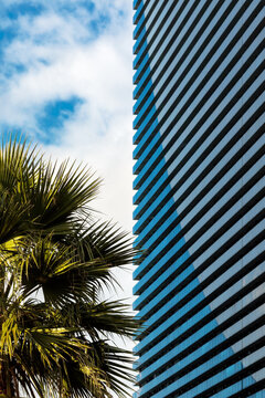 A minimalistic photo of a modern building with a striped pattern on its exterior stands out against a partly cloudy sky. A palm tree is visible to the left of the building