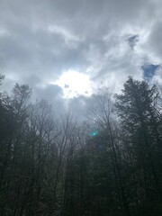 clouds over the forest