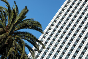 A minimalistic photo of a modern building with a striped pattern on its exterior stands out against a clear blue sky. A palm tree is visible to the left of the building