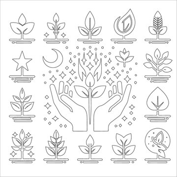 Plant growing line icons set. vector 