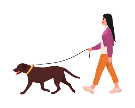 vector illustration of a girl walking a dog in flat style. Walking the dog