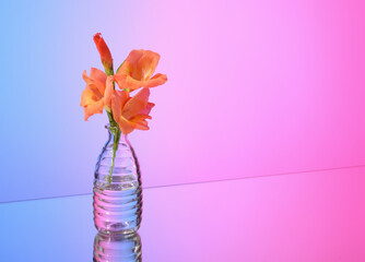 Flower arranging and gardening. Copy space for text.