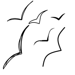Naklejka premium Hand drawn isolated vector icon, six seagull birds flying. Minimal design elements. Sketch for business identity, branding, web design.