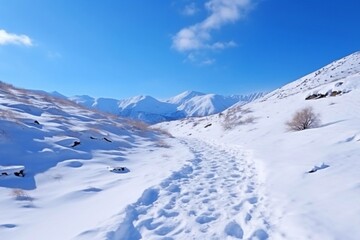 Trail in the snow in the mountains. blue sky